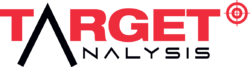 Target Analysis Online Shop